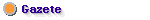 gazete.gif (401 bytes)