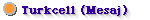 turkcell.gif (588 bytes)